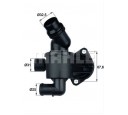 termostat,lichid racire
